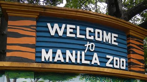 manila zoological and botanical garden|Comprehensive Guide to Manila Zoo: A Must.